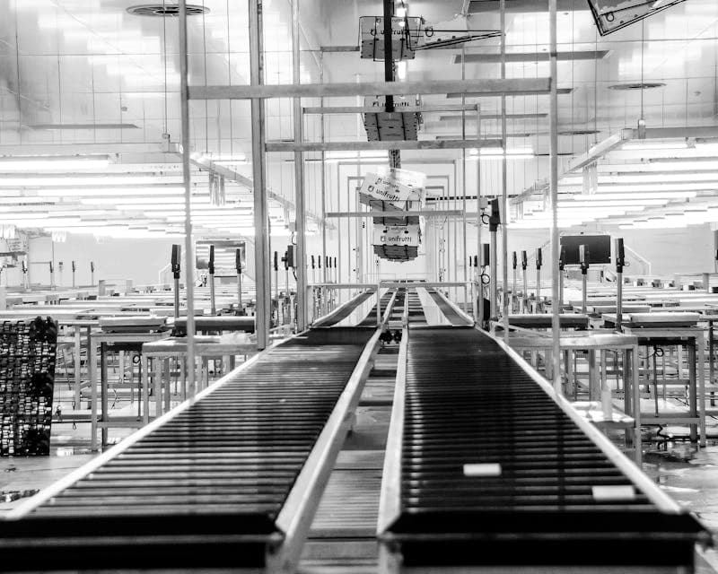 Riesgos Ocupacionales en el Sector Manufactura: De la Línea de Producción al Bienestar